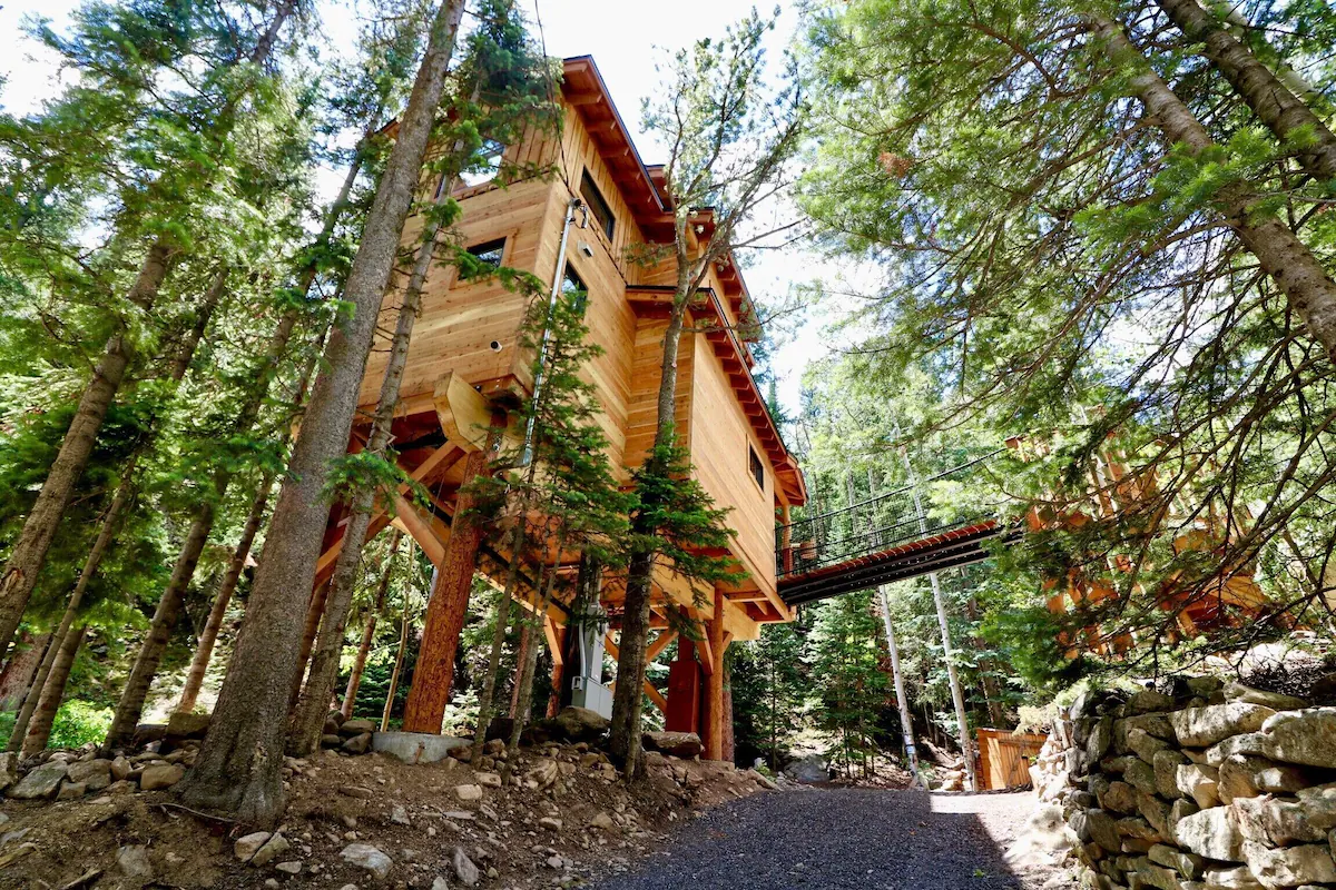 Picture of the treehouse.